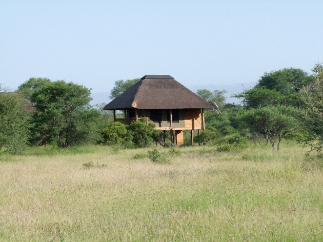 One of five stilted chalets at nThambo Tree Camp in the Klaserie, Kruger Park.